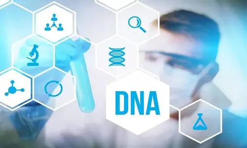 随州哪个医院可以做DNA亲子鉴定,随州医院做血缘检测办理方式