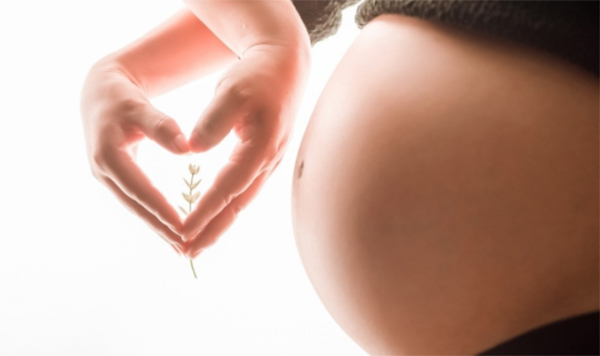 随州胎儿如何做亲子鉴定,随州无创孕期亲子鉴定多少费用